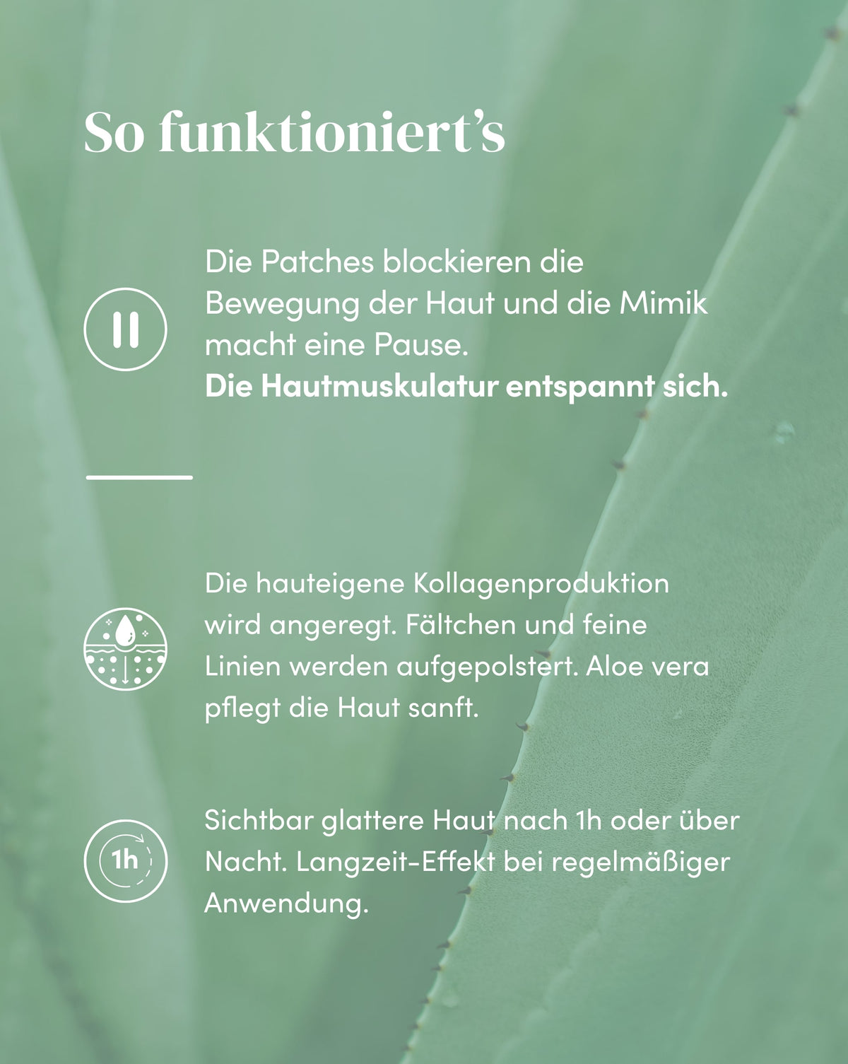 Wirkweise der Mund Patches mit Aloe vera für sichtbar glattere Haut