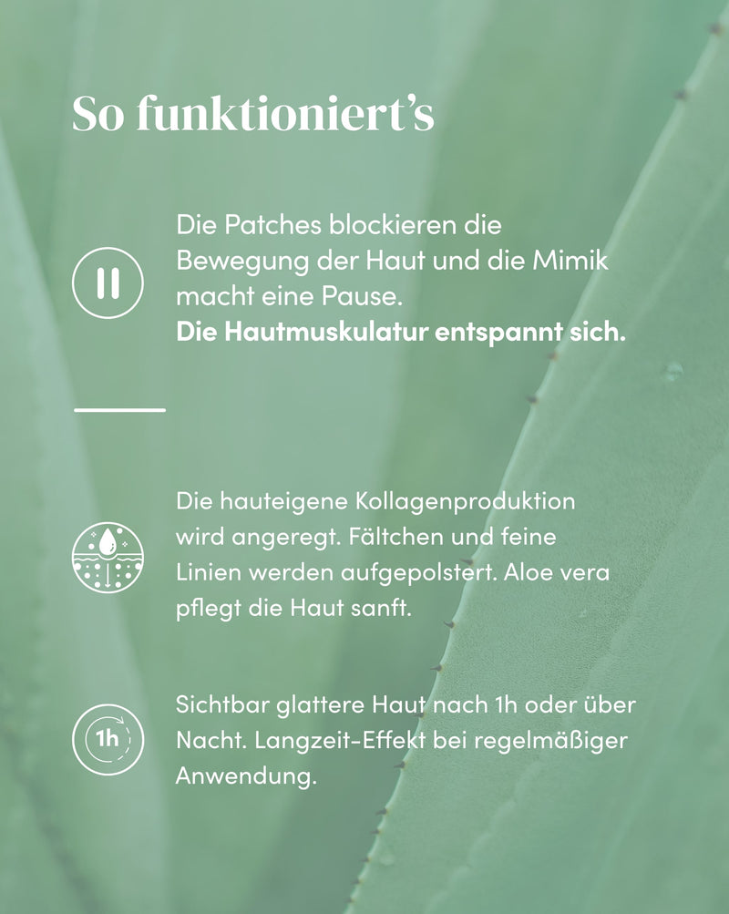 Partidos bucales con aloe vera